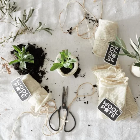 Wool Pots biologisch afbreekbare plantenpotjes bij Bag-again zero waste webshop