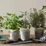 Wool Pots biologisch afbreekbare plantenpotjes bij Bag-again zero waste webshop