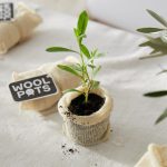 Wool Pots biologisch afbreekbare plantenpotjes