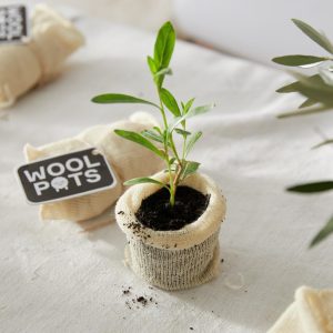 Wool Pots biologisch afbreekbare plantenpotjes bij Bag-again zero waste webshop