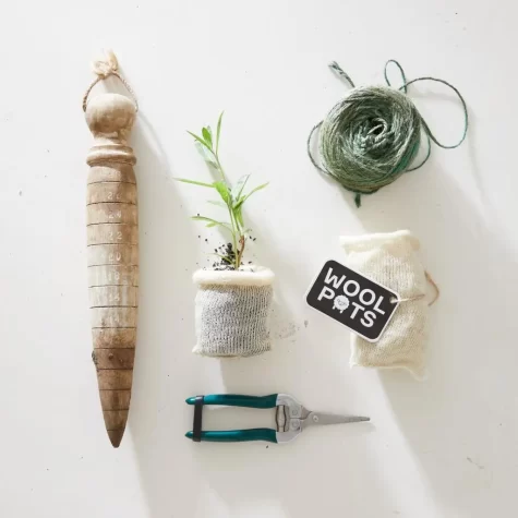 Wool Pots biologisch afbreekbare plantenpotjes bij Bag-again zero waste webshop